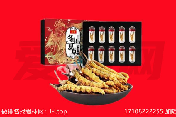 锦州古塔区回收虫草.jpg